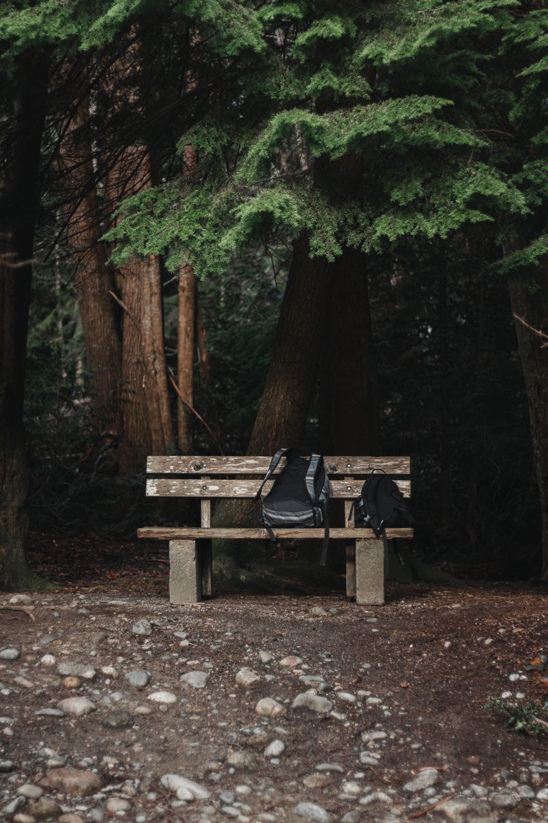 A serene forest scene featuring a wooden bench with a backpack on it, conveying a sense of adventure.